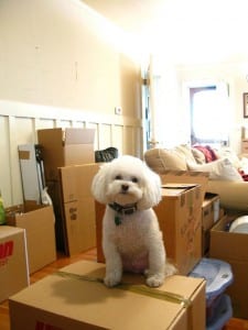 moving to a smaller home