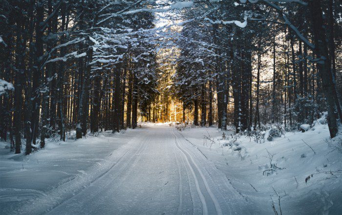 Extreme weather conditions are never the right time for moving furniture