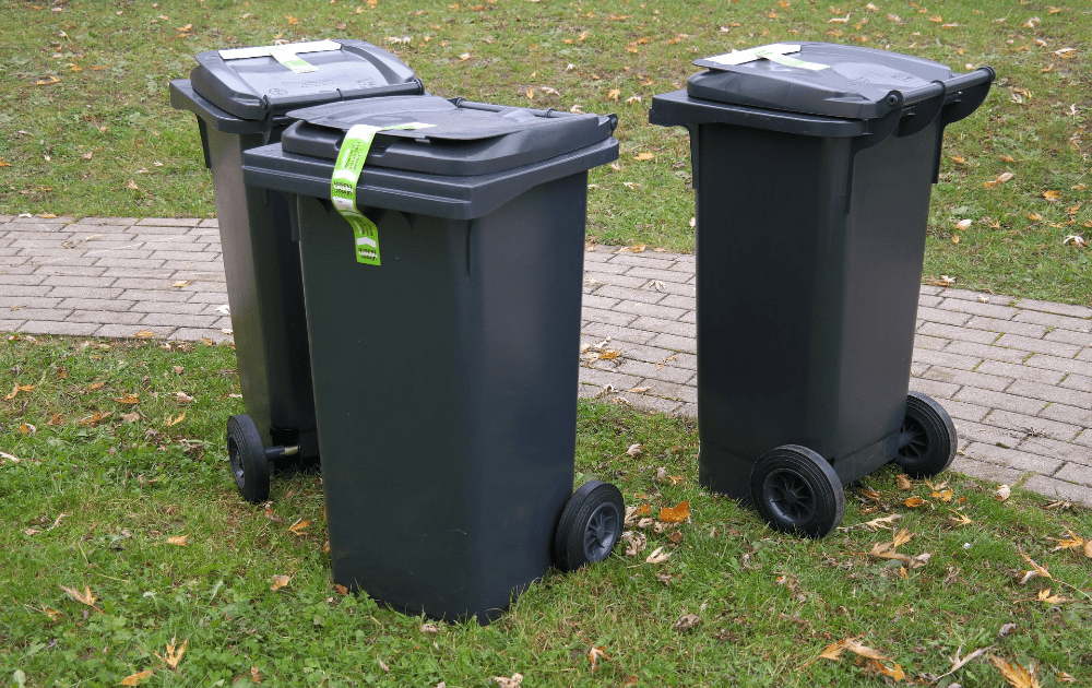 You can save time looking for these bins and will spend less money if pro movers in Ottawa include them in their package.